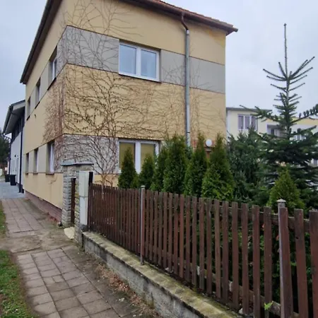 Nerudovka 파르두비체